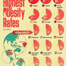 Страны с самыми высокими показателями ожирения среди взрослых
