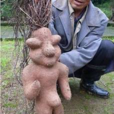 Китайский фермер откопал у себя в саду &quot;голого мальчика&quot;