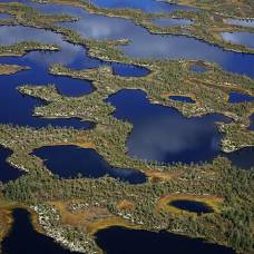 Васюганское болото — самое большое болото в мире