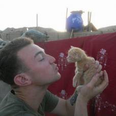 Рыжие котейки на американской базе в афганистане
