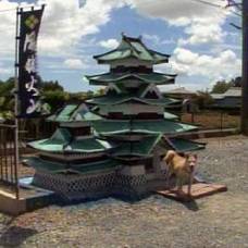 Японец построил замок для своей собаки