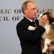 Путину подарили щенка болгарской породы