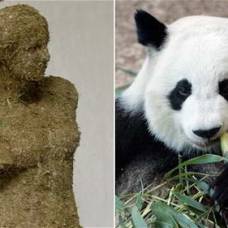 Статуя венеры сделанная из экскрементов панды продана за $48 тысяч