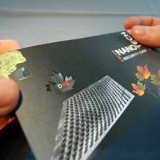 ''Устройство'' крыльев бабочки подсказало технологию нанозащиты для банкнот