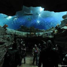 В гонконге открылся 3-х этажный аквариум