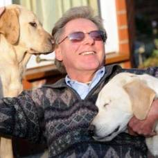 Поводырь для слепого мужчины и собаки-поводыря