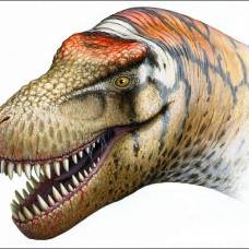 Палеонтологи описали новый вид динозавров