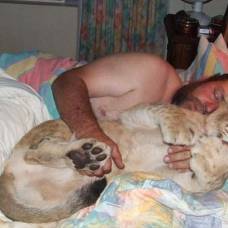 Южноафриканские супруги спят в одной кровати со львом