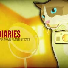 Кошачьи дневники: первый в мире фильм, снятый котами