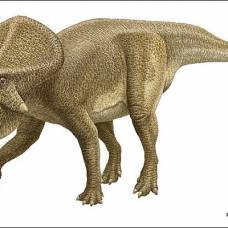 Многие динозавры вели ночной образ жизни