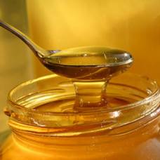 Мед чайного дерева манука может заменить антибиотики