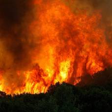 Лесные пожары в техасе