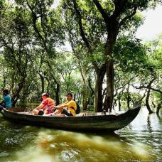Прогулка в чащу затопленного камбоджийского леса