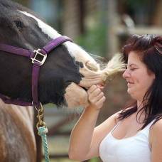 Жеребец алфи - самый усатый конь великобритании