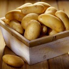 Картофель как средство от давления