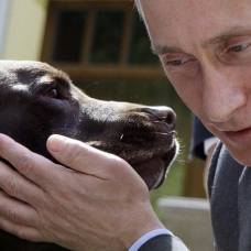 Российский премьер – большой любитель животных