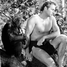 Мемуары самой известной обезьяны-актера, читы
