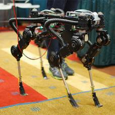 Корейцы построили робота-собаку