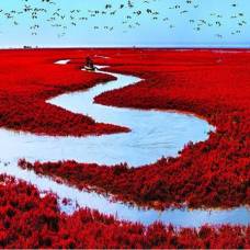 Красный берег в паньцзинь, китай
