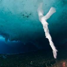 В антарктике сняли фильм о ''ледяном пальце смерти''
