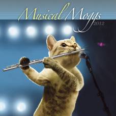 Коты-Музыканты в календаре musical moggs 2012