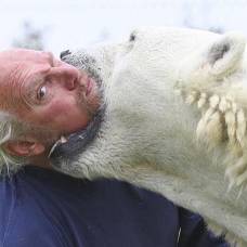 В обнимку с полярным медведем